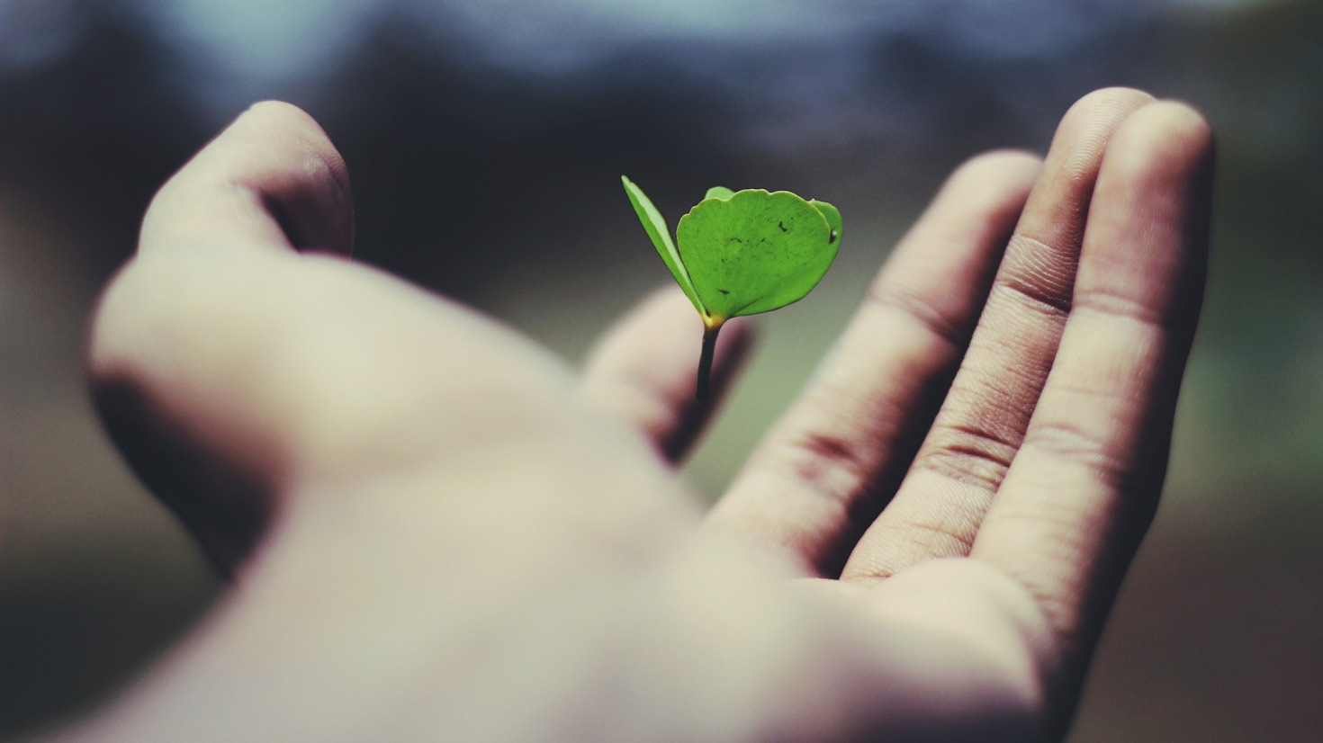 Mastering Fulfillment: Insights for a Harmonious Lifestyle